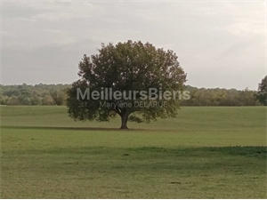 terrain a batir à la vente -   33650  LA BREDE, surface 1500 m2 vente terrain a batir - UBI404567356